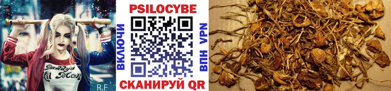 Галлюциногенные грибы Psilocybe  Инта 